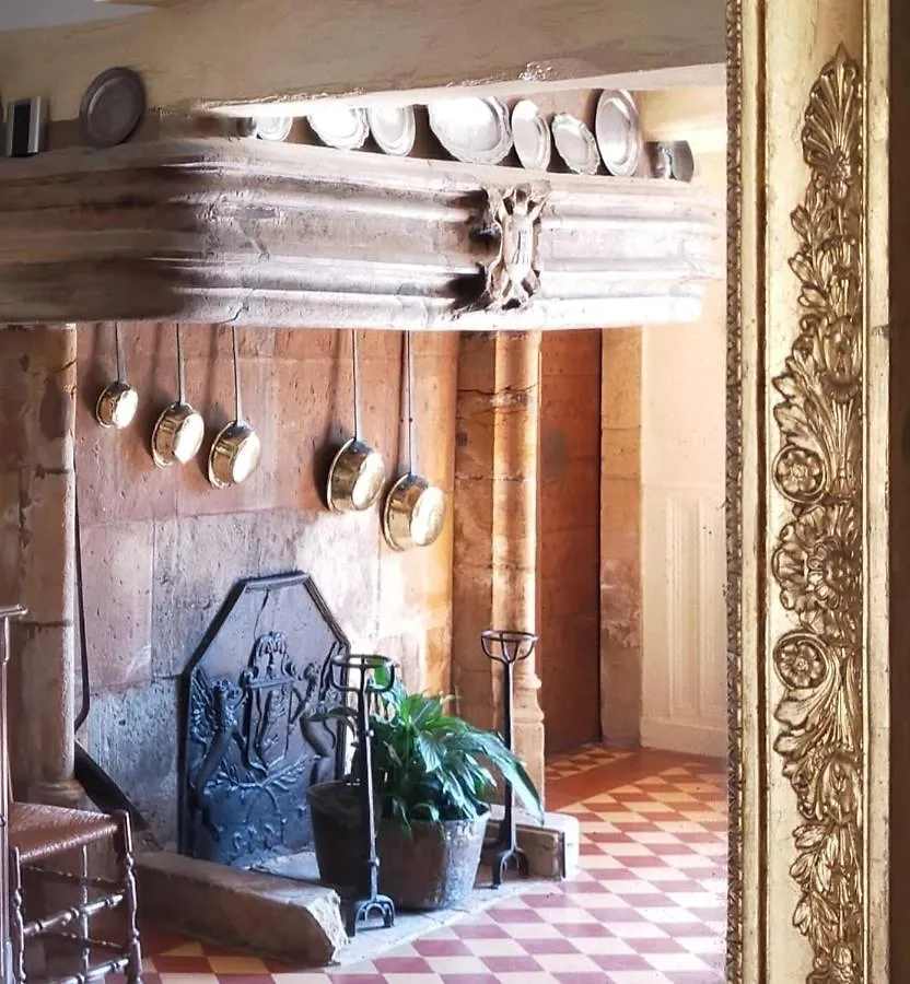 Chateau De La Venerie Denicé Bed & Breakfast