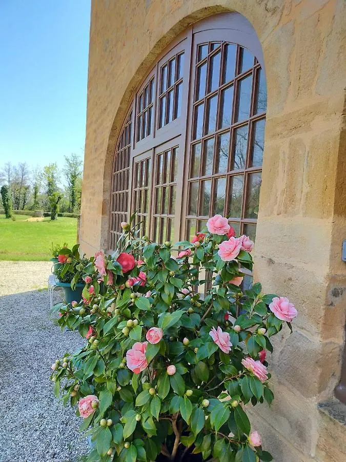 Chateau De La Venerie Denicé Bed & Breakfast