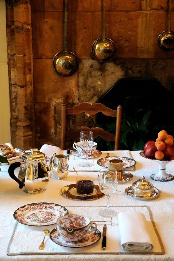 Bed & Breakfast Chateau De La Venerie Denicé Frankrijk