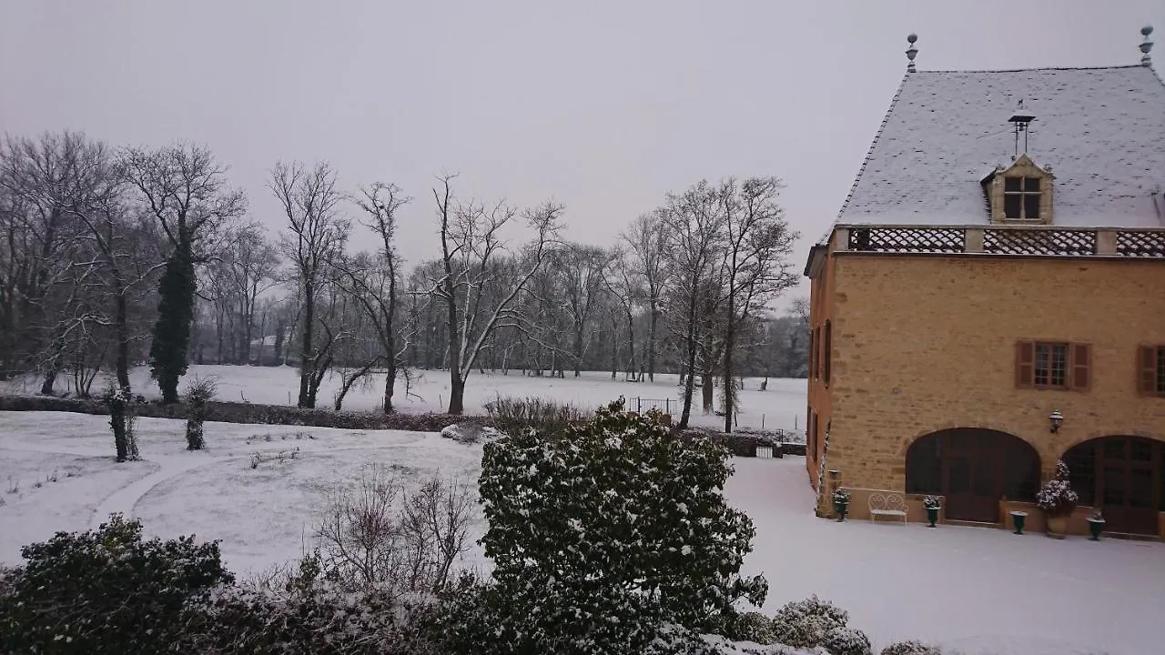 Chateau De La Venerie Denicé 0*,